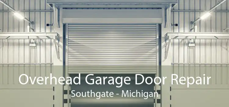 Overhead Garage Door Repair Southgate - Michigan
