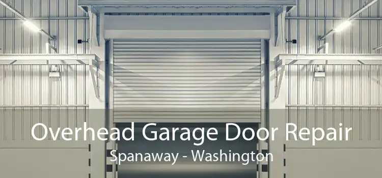 Overhead Garage Door Repair Spanaway - Washington
