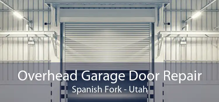Overhead Garage Door Repair Spanish Fork - Utah
