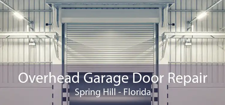 Overhead Garage Door Repair Spring Hill - Florida