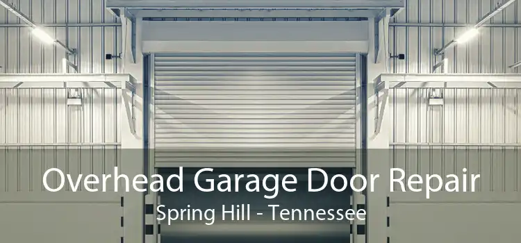 Overhead Garage Door Repair Spring Hill - Tennessee