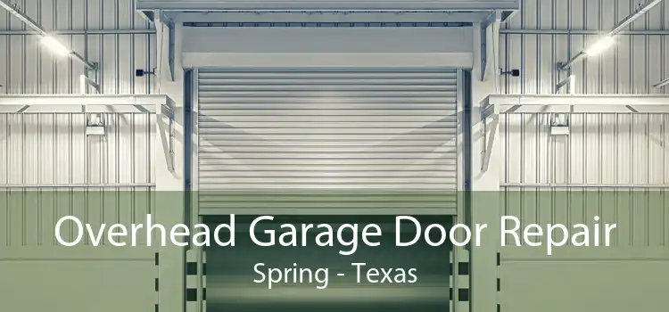 Overhead Garage Door Repair Spring - Texas