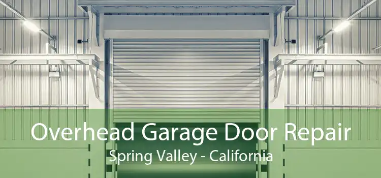 Overhead Garage Door Repair Spring Valley - California