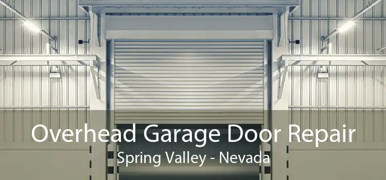 Overhead Garage Door Repair Spring Valley - Nevada