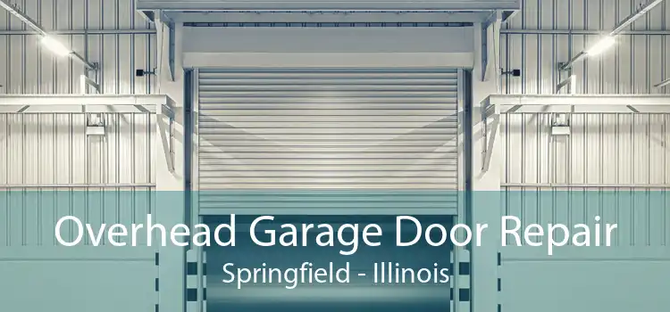 Overhead Garage Door Repair Springfield - Illinois