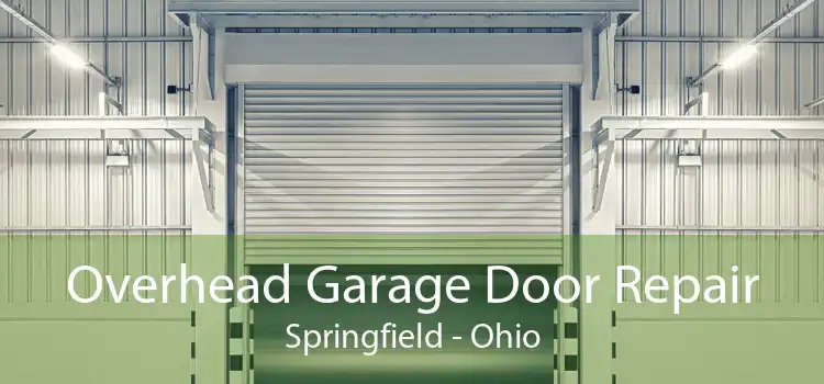 Overhead Garage Door Repair Springfield - Ohio