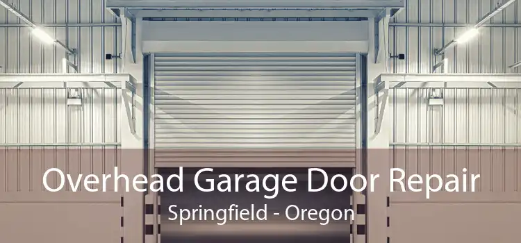 Overhead Garage Door Repair Springfield - Oregon