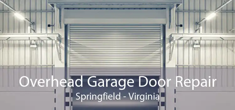 Overhead Garage Door Repair Springfield - Virginia