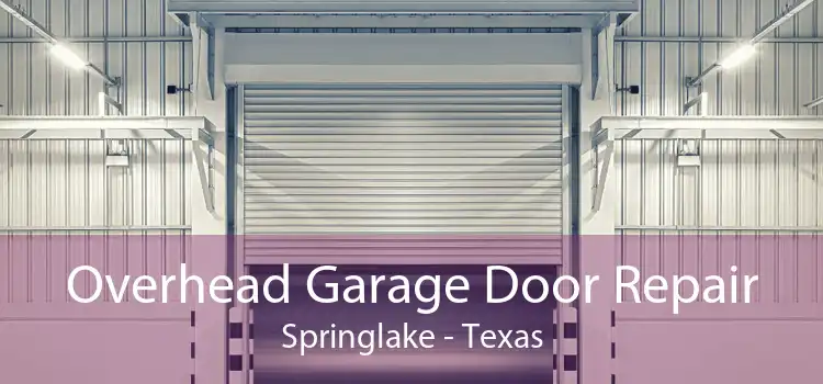 Overhead Garage Door Repair Springlake - Texas