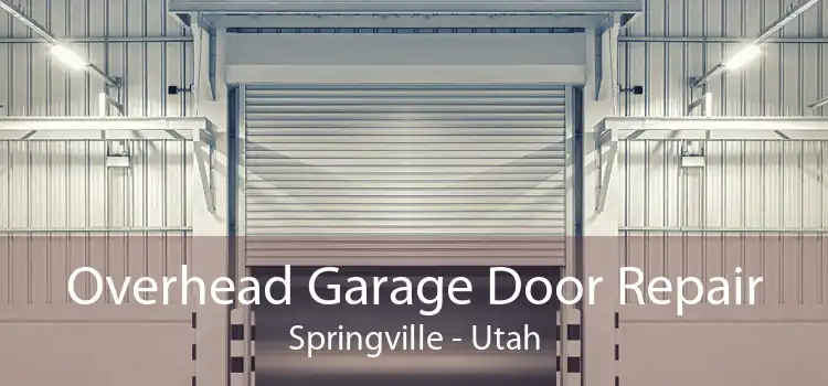 Overhead Garage Door Repair Springville - Utah