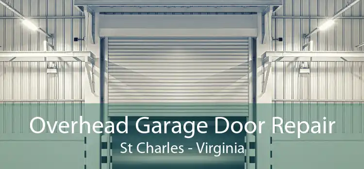 Overhead Garage Door Repair St Charles - Virginia
