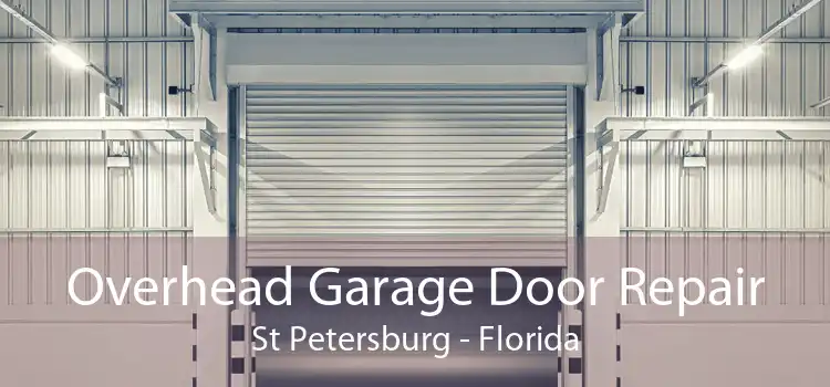 Overhead Garage Door Repair St Petersburg - Florida