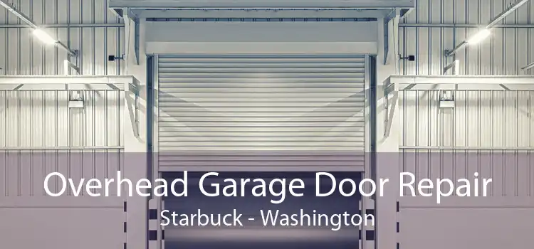 Overhead Garage Door Repair Starbuck - Washington
