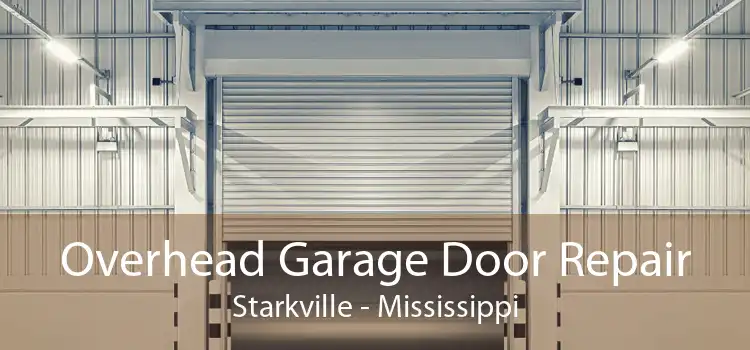 Overhead Garage Door Repair Starkville - Mississippi