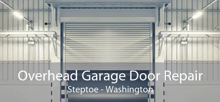 Overhead Garage Door Repair Steptoe - Washington