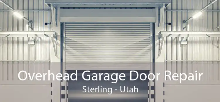 Overhead Garage Door Repair Sterling - Utah