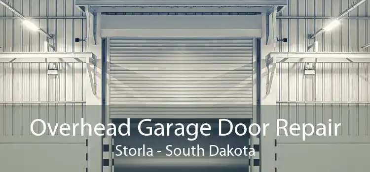 Overhead Garage Door Repair Storla - South Dakota