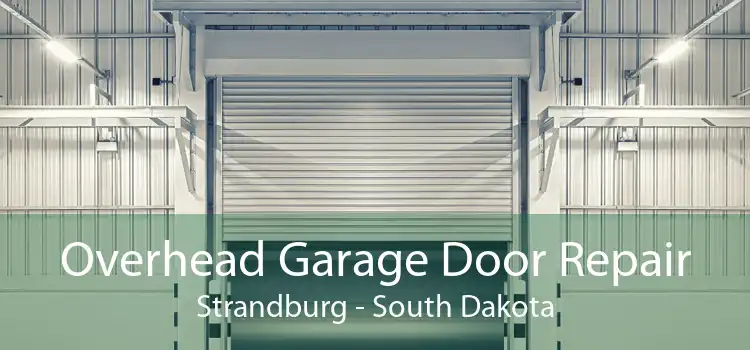 Overhead Garage Door Repair Strandburg - South Dakota