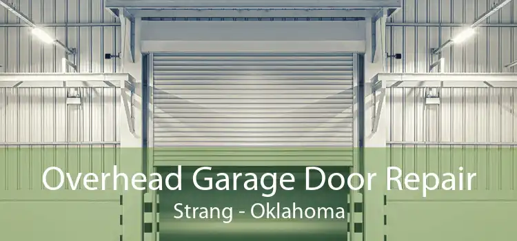 Overhead Garage Door Repair Strang - Oklahoma