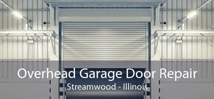 Overhead Garage Door Repair Streamwood - Illinois