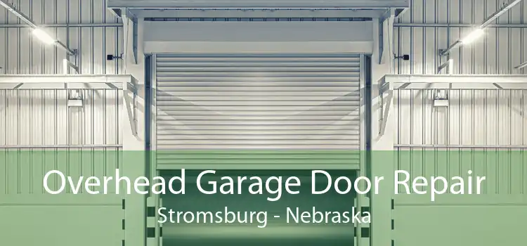 Overhead Garage Door Repair Stromsburg - Nebraska
