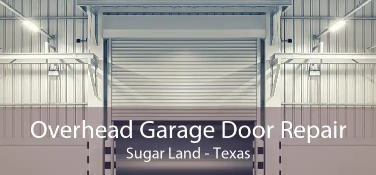 Overhead Garage Door Repair Sugar Land - Texas