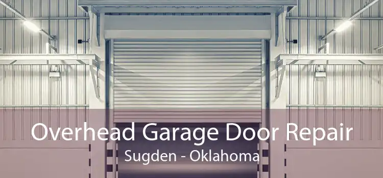 Overhead Garage Door Repair Sugden - Oklahoma