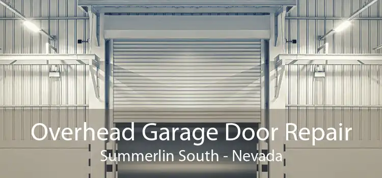 Overhead Garage Door Repair Summerlin South - Nevada