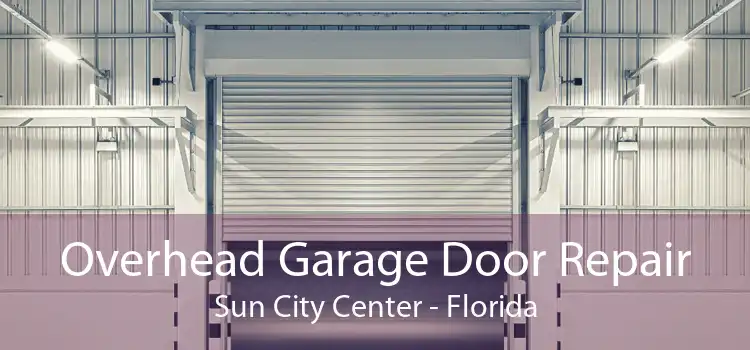 Overhead Garage Door Repair Sun City Center - Florida