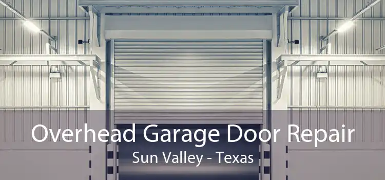 Overhead Garage Door Repair Sun Valley - Texas