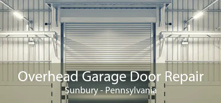 Overhead Garage Door Repair Sunbury - Pennsylvania
