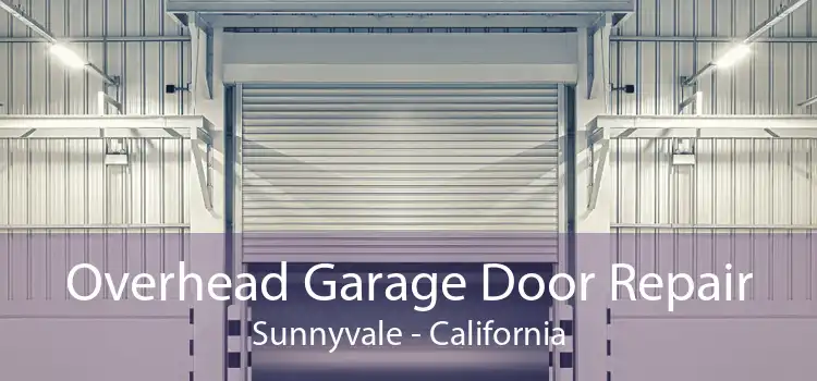 Overhead Garage Door Repair Sunnyvale - California