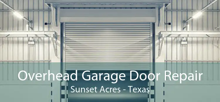 Overhead Garage Door Repair Sunset Acres - Texas