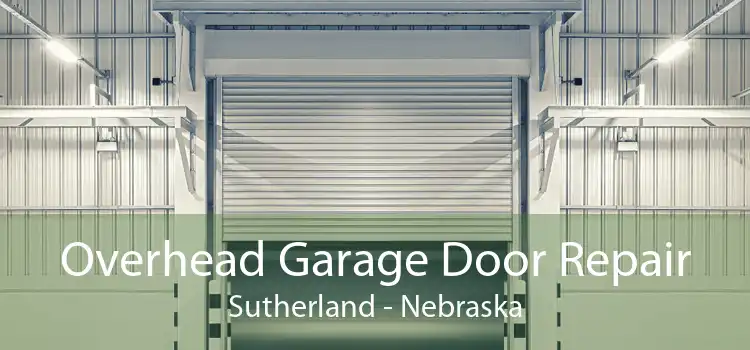 Overhead Garage Door Repair Sutherland - Nebraska