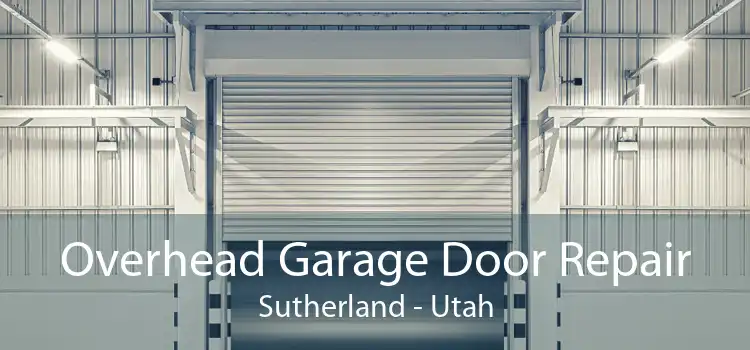 Overhead Garage Door Repair Sutherland - Utah