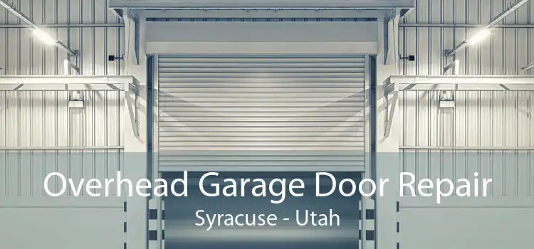 Overhead Garage Door Repair Syracuse - Utah