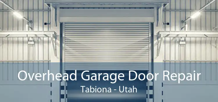 Overhead Garage Door Repair Tabiona - Utah