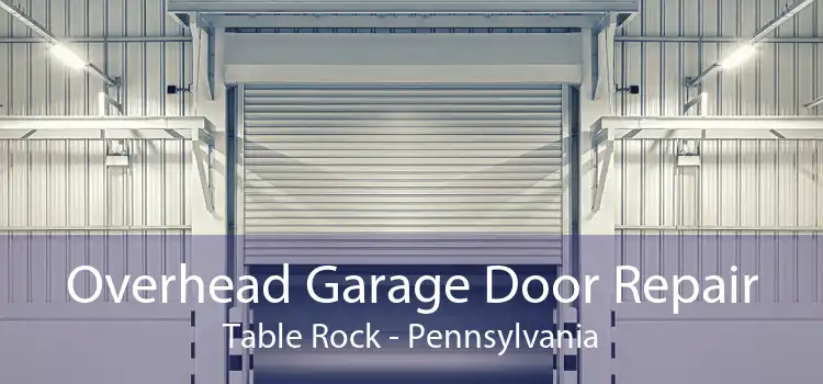 Overhead Garage Door Repair Table Rock - Pennsylvania