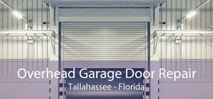 Overhead Garage Door Repair Tallahassee - Florida
