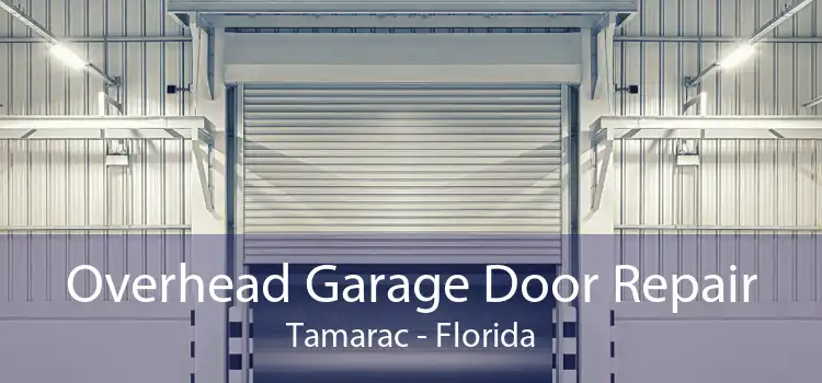 Overhead Garage Door Repair Tamarac - Florida