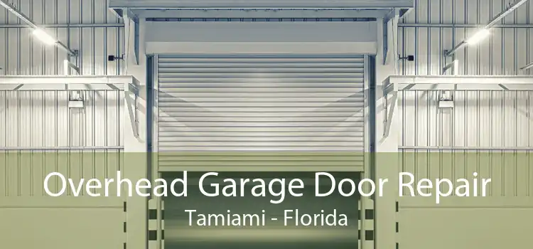 Overhead Garage Door Repair Tamiami - Florida