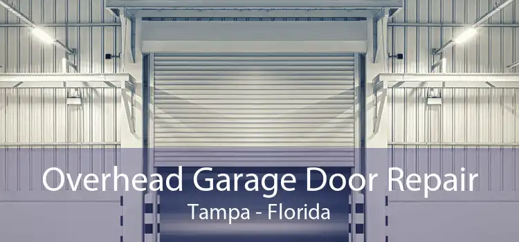 Overhead Garage Door Repair Tampa - Florida