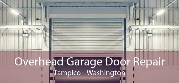 Overhead Garage Door Repair Tampico - Washington