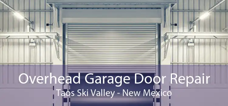Overhead Garage Door Repair Taos Ski Valley - New Mexico