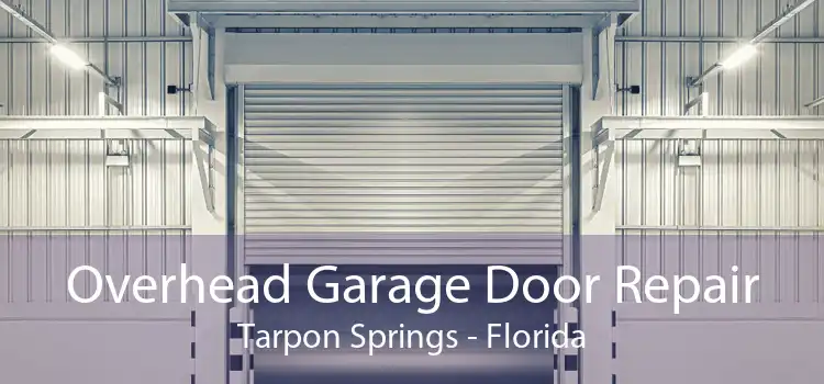 Overhead Garage Door Repair Tarpon Springs - Florida