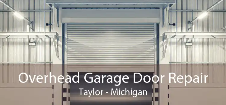 Overhead Garage Door Repair Taylor - Michigan