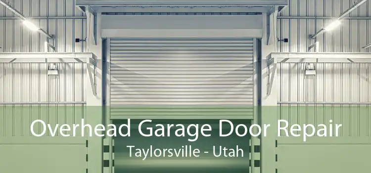 Overhead Garage Door Repair Taylorsville - Utah