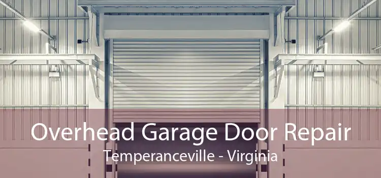 Overhead Garage Door Repair Temperanceville - Virginia