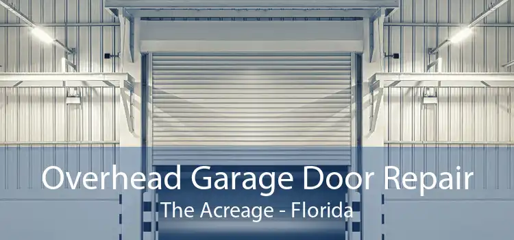 Overhead Garage Door Repair The Acreage - Florida
