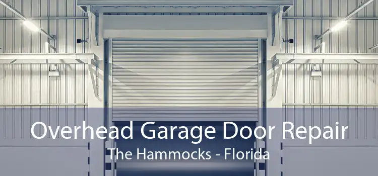 Overhead Garage Door Repair The Hammocks - Florida